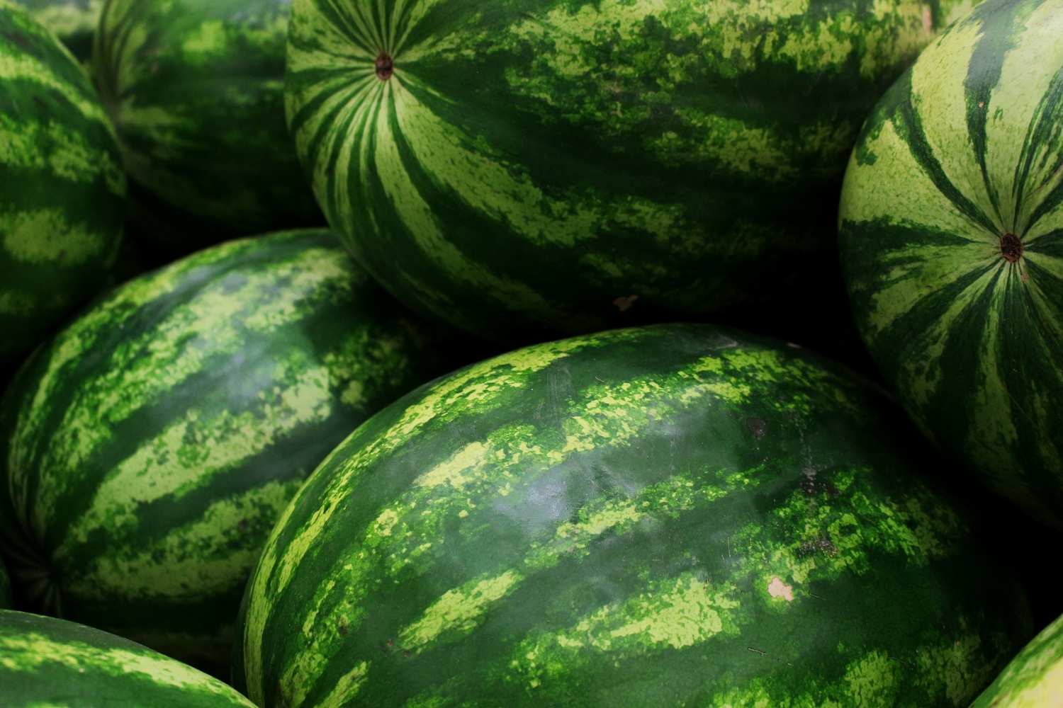 watermelons-5318938.jpg