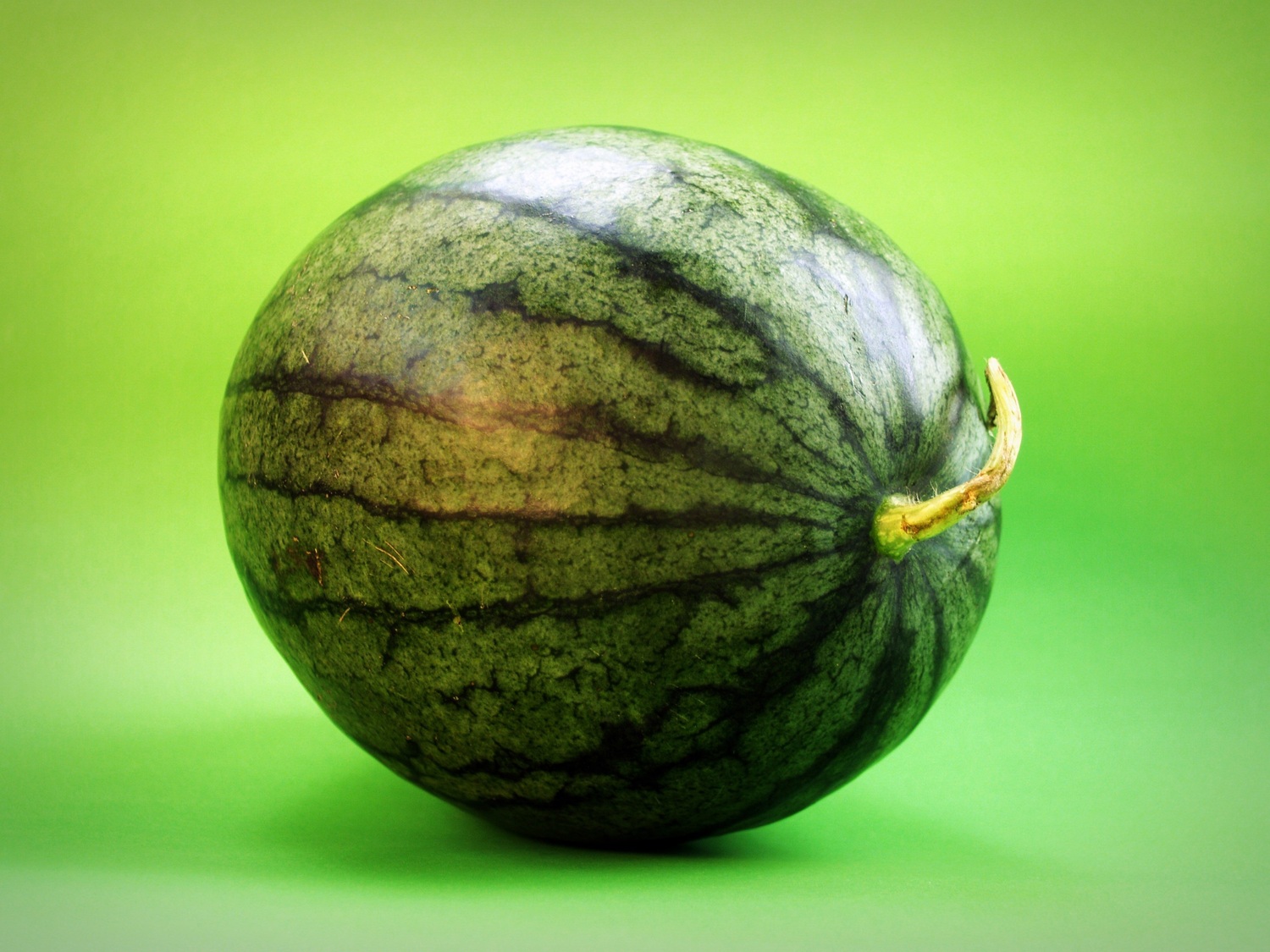 watermelon-1549239.jpg